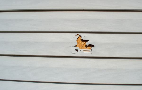 Cost of Siding Hole Repair in Freehold