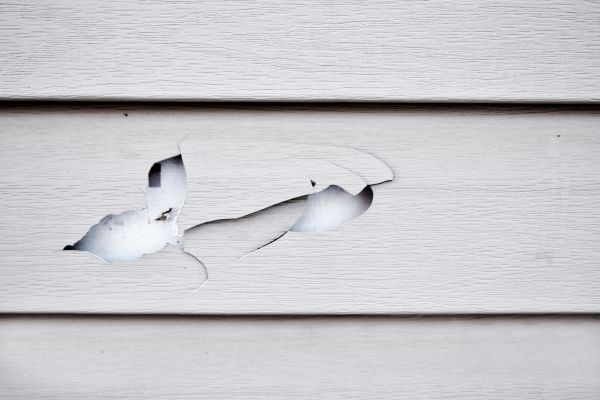 Cost of Siding Leak Repair in Freehold